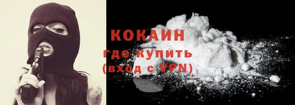 твердый Абаза
