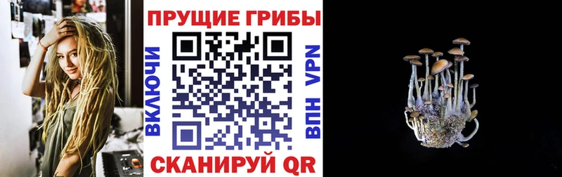 Псилоцибиновые грибы MAGIC MUSHROOMS  Нальчик 