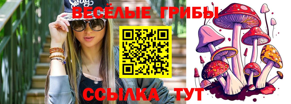 Псилоцибиновые грибы мицелий Нальчик