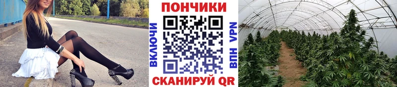 Марихуана планчик  Нальчик 